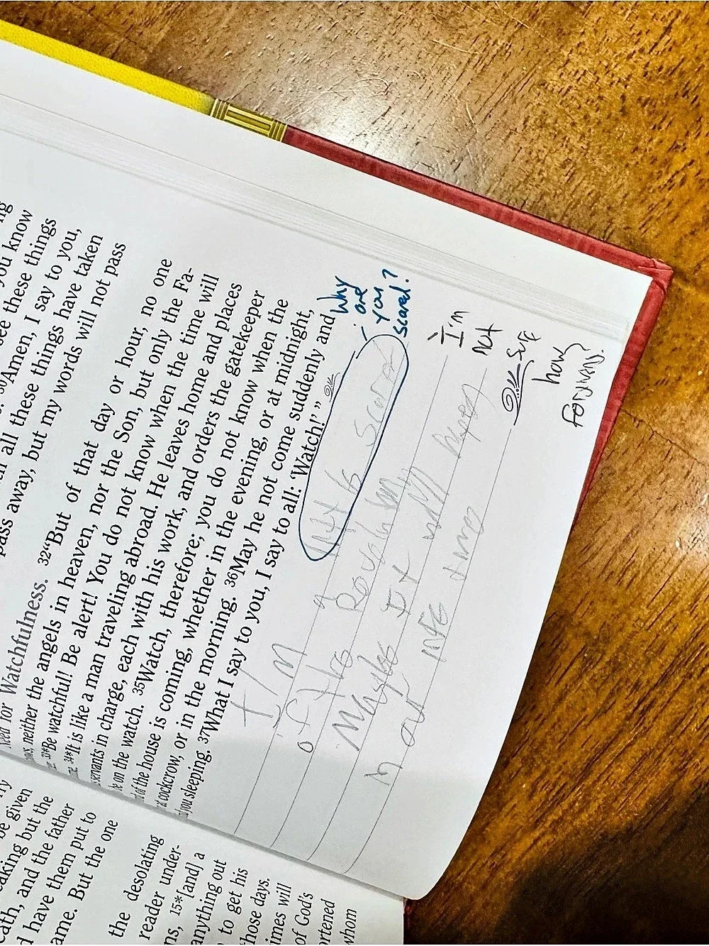 The New American Bible Gospel of Mark Journal Hardback